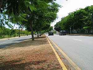 Avenida Tito Castro (PR-14), Barrio Machuelo Abajo, Ponce, looking west (PR-14, near km 4.4)