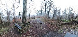 Der südliche Teil der Burgstelle (Blick Ri. Norden)