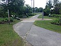 Butterfly garden, 2015, looking south