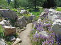 Alpinum del jardín botánico.