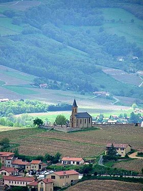 Image illustrative de l’article Beaujolais (AOC)