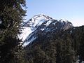 Image 23Mount Charleston (from Nevada)