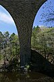 The bridge from the "echo platform" on the Newton side