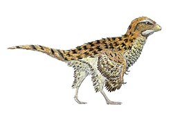 Eosinopteryx