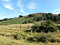 La fontaine des Pères : six bacs recueillent l'eau infiltrée du Puy des Gouttes.