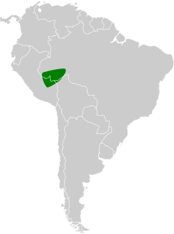 Distribución geográfica del cimerillo crestilargo.