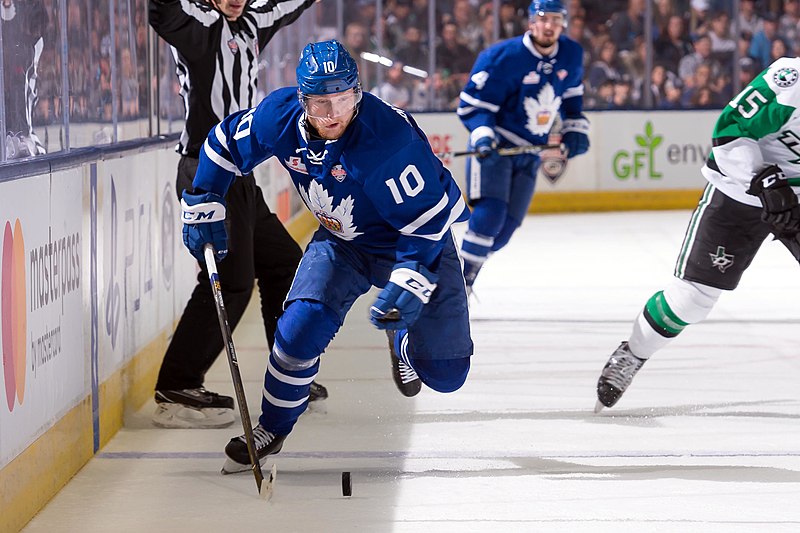 Marlies-vs-stars---060318 42492589222 o (41215785670).jpg