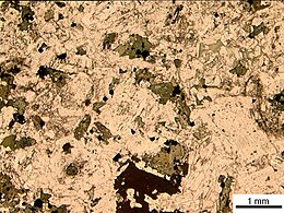 Sezione di monzonite vista a un solo polarizzatore