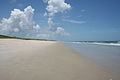 Canaveral National Seashore