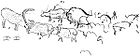 Plan of a portion of the left wall decoration in the Galerie des Fresques, showing reindeer and the procession of bison. After Breuil.