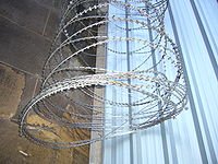 Short barb razor wire with central reinforcement
