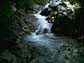 Piccola cascata lungo il corso del rio Valsorda.