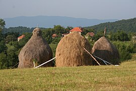 Влашке њиве, Будишић