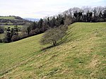 Oval enclosure, possibly Iron Age, SW of Stowey House