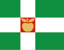 Drapeau de Türi