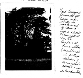 Gardens at Swainston 1909