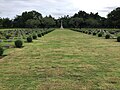 Thanbyuzayat Prisoners-of-war Cemetery