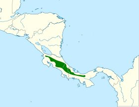 Distribución geográfica del trepamusgos pechirrayado.