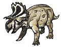 Yehuecauhceratops