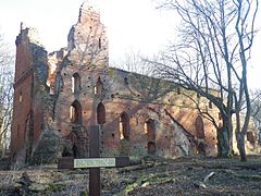 Balga castle ruins