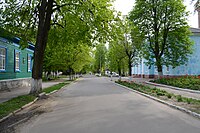 Березна, Менський район. Вулиця