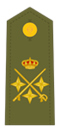 Teniente General