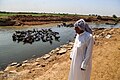 رجل عربي يرتدي الدشداشة بقرب من نهر الكرخة في الأهواز.