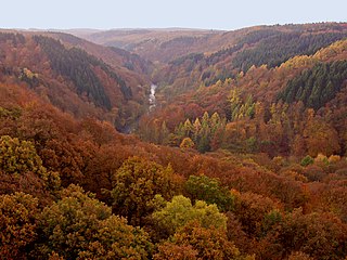 Blick von der Müngstener Brücke in das Wupperengtal