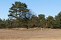 Galderse Heide