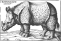 Dibujo a tinta de Burgkmair del famoso Rinoceronte, que Durero representó de forma menos precisa y más extravagante, aunque mucho más famosa.