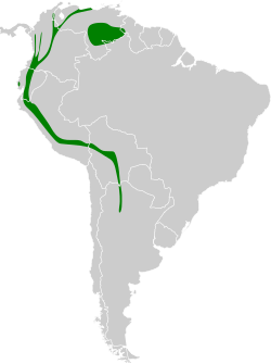 Distribución geográfica del pibí ahumado.