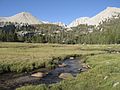 Mount Whitney'e bakan "Crabtree Meadows" Merası