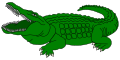 crocodile