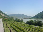 Danube cycle path in eastern Austria.