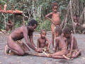Early fire-making technique in Vanuatu.