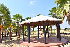 Gazebo in palai park