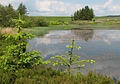 Gryffe Reservoir