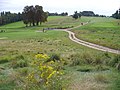 Image 21One of the several golf courses in Woking's borough in the mid/north-west of the county (from Portal:Surrey/Selected pictures)