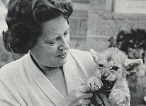 Irene Grindlay, who hand-reared Mara the Lioness with her husband Douglas on the Grindlay coffee plantations in Kenya, Africa (1965).