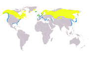 Aire de répartition du Harle huppé