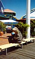 On the boardwalk at UnderWater World