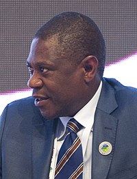 Image illustrative de l’article Vice-président de la république d'Afrique du Sud