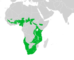      Área de distribución aproximada