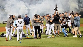 Men in white baseball uniforms with navy pinstripes hugging and celebrating on a baseball field