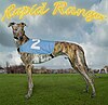 Photographic artwork of Rapid Ranger