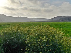 Vale del río Seixe, en la freguesia de Odeceixe.