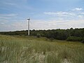 Nature Reserve Ribnitzer Großes Moor