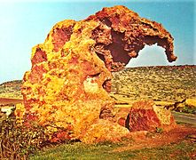 Rocher de l'éléphant, sculpture prénuragique haute de 4 mètres et fortement érodée par les éléments. Elle est située dans la ville de Castelsardo en Sardaigne. L'éléphant disparait de Sardaigne à la fin de la période glaciaire soit 10 500 av. J.-C..