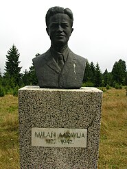 Милан Мравља