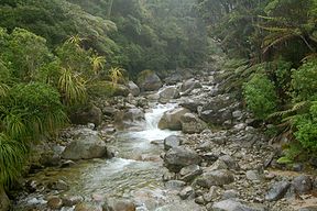 Bachlauf am Heaphy Track